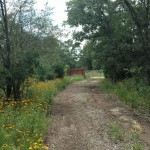 EW Northside Lane entrance from inside the park This is the view of the Northside Lane gate from inside the park. Just continue down Red Leaf Road and you will reach the sheds.