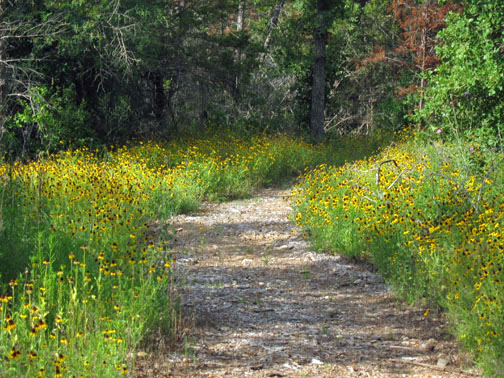 A winding path A winding path